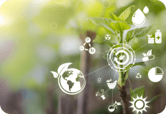 Navigating Market Trends