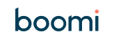 Boomi icon